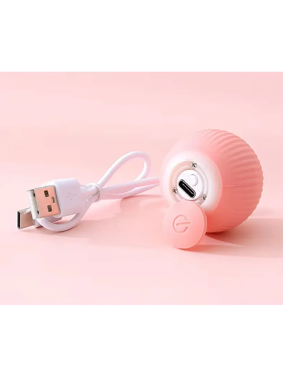 SmartBall para mascotas x2