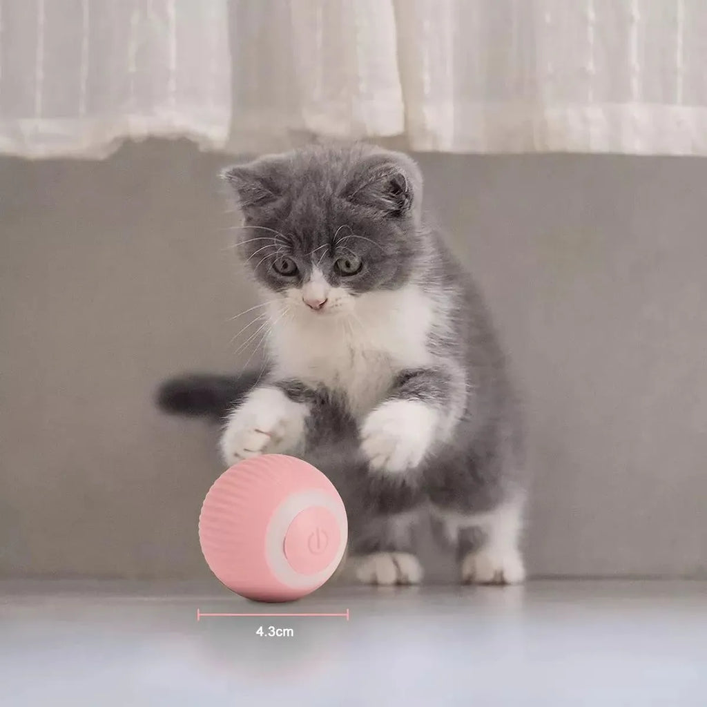 SmartBall para mascotas x2