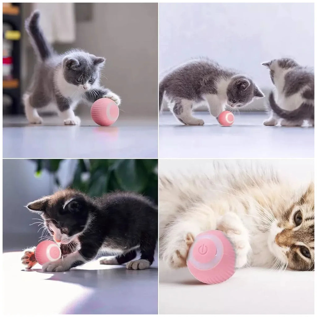 SmartBall para mascotas x2