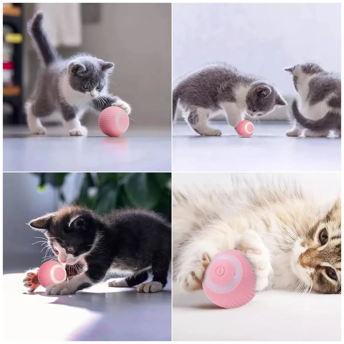 SmartBall para mascotas x2